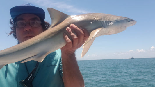 2 hours - Call for availability before applying your payment.