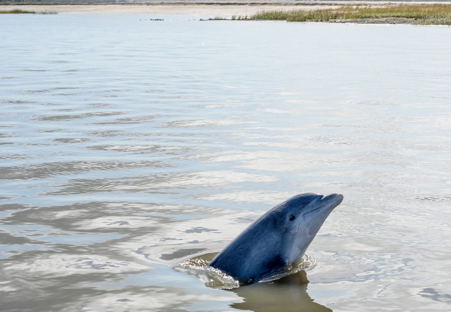 2 hours - Call for availability before applying your payment.