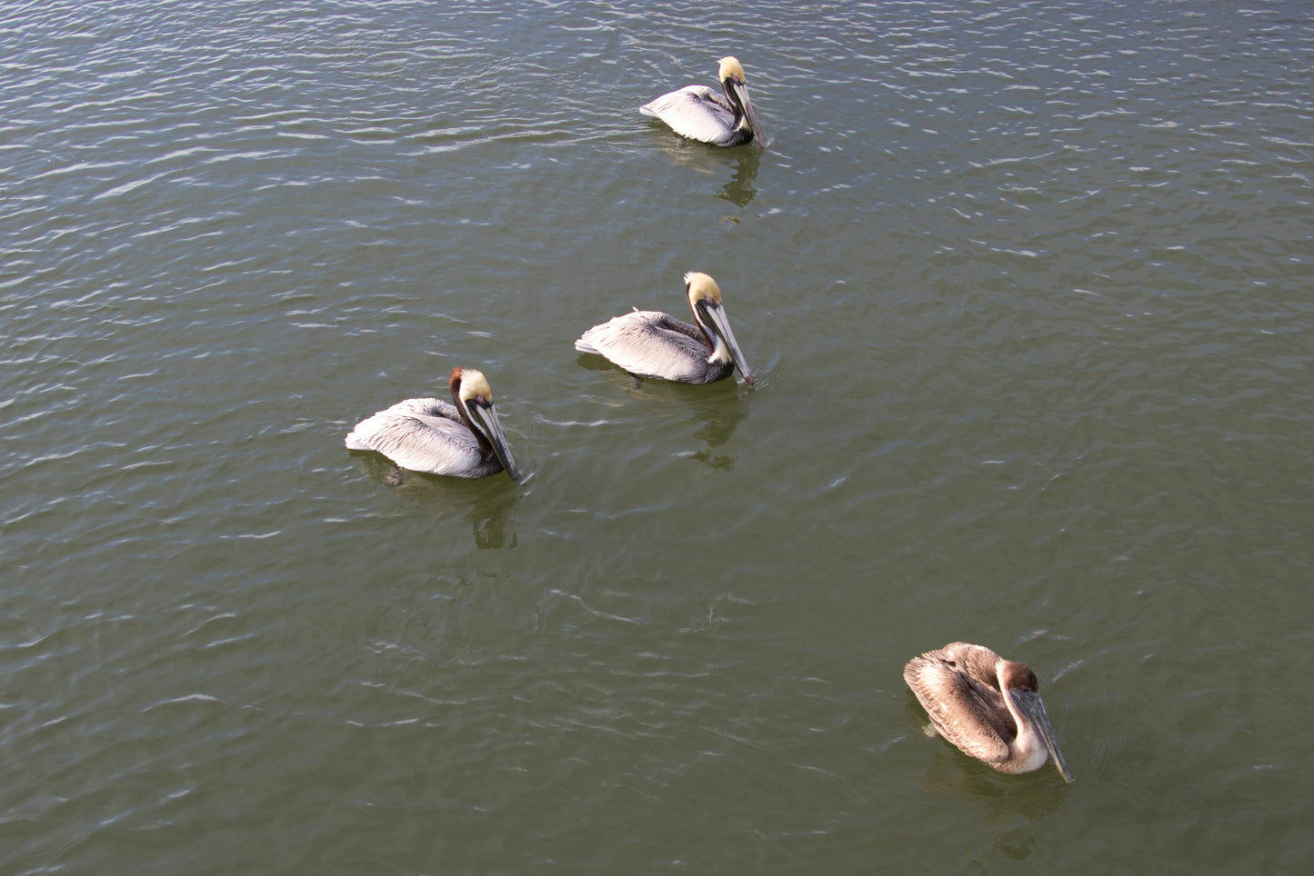 2 hours - Call for availability before applying your payment.