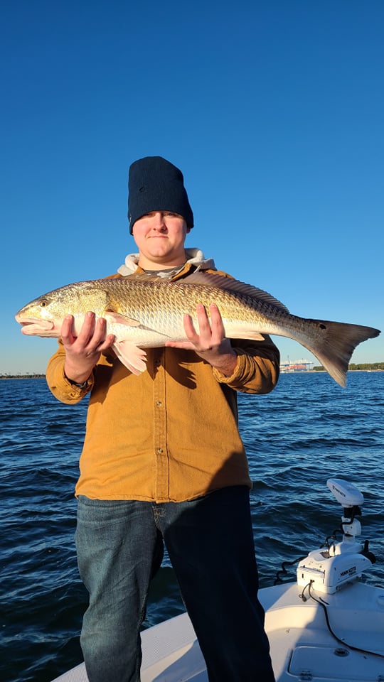 2 hours - Call for availability before applying your payment.